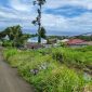 Foto: Lahan rumah di kelurahan Fitu Kecamatan Ternate Selatan kota Ternate.