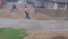 Oplus_131072