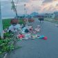 Foto: Sejumlah Ternak Sapi Menghamburkan Sampah di Jalan Raya Desa Fatcei.