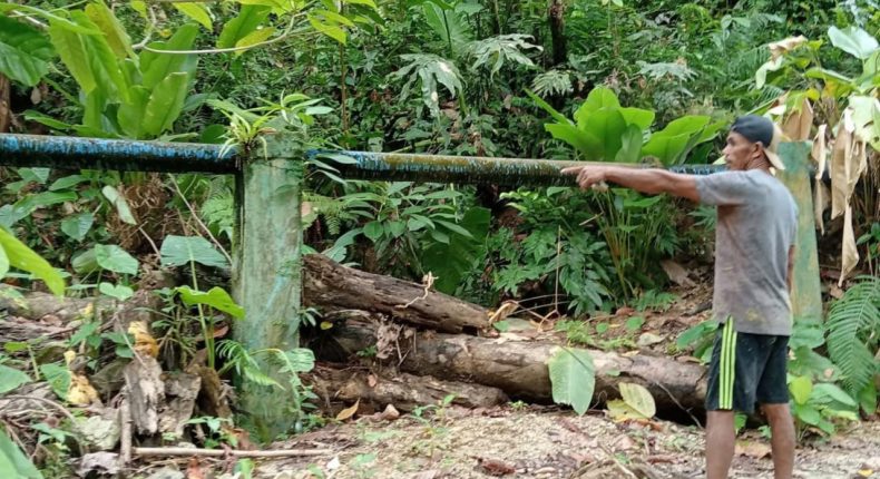 foto slider headline