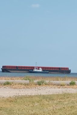 Diduga Tak ada Izin Berlabuh, Kapal Tongkang Merusak Terumbu Karang 