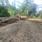 Dok: Lokasi Ilegal Logging di Desa Wailoba, Kecamatan Mangoli Tengah, Kepulauan Sula, Maluku Utara. 