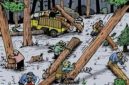 Dok: Ilustrasi Ilegal Logging.