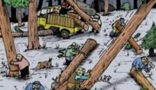 Dok: Ilustrasi Ilegal Logging.