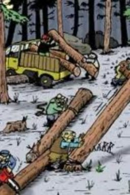 Ilegal Logging Masih Memanas, Pemuda Wailoba Minta Gubernur Evaluasi Kadishut Malut