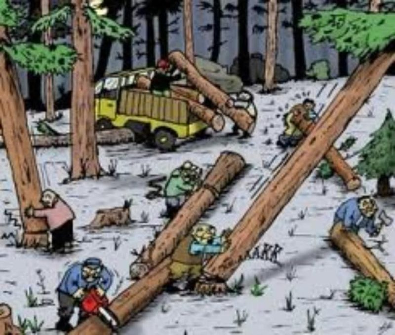 Dok: Ilustrasi Ilegal Logging.